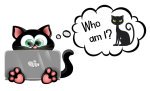 Who Am I Black Cat Trivia