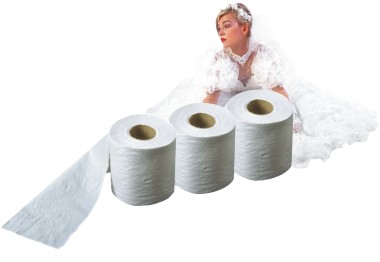 Toilet Paper Wedding Dress Game