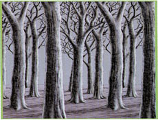 Eerie Scene Setters