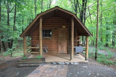 Camping in the Woods