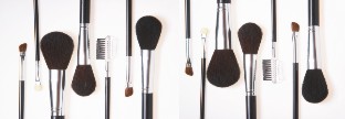 blush and eye brushes