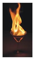 Martini Fire Mix Cocktail Party Drink