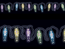 LED Skeleton Lights