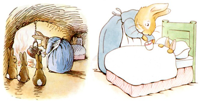 Peter Rabbit Early Bedtime
