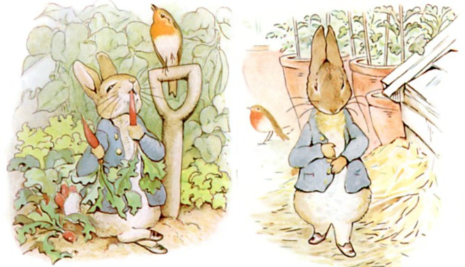 Peter Rabbit Overindulges on Veggies and Gets Sick Peter Rabbit Overindulges on Veggies and Gets Sick