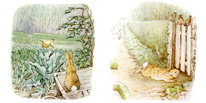 Peter Rabbit Escapes