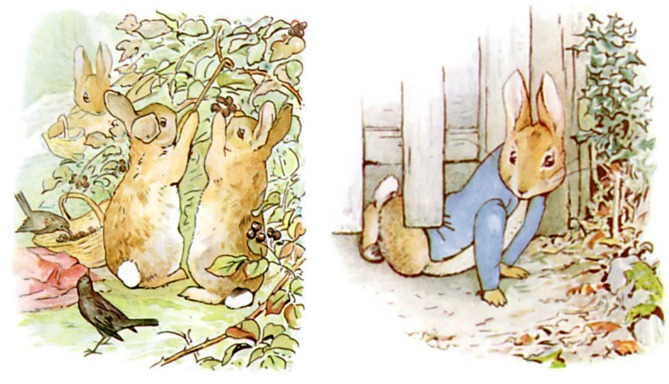 Peter Rabbit Being Naughty While His Siblings Obey