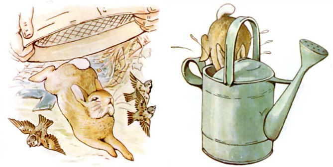 Peter Rabbit Runs and Hides from Mr. McGregor