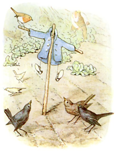Mr McGregor Uses Peter Rabbit's Jacket and Shoes as a Scarecrow