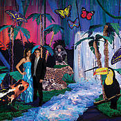 Rainforest Party Decorations
