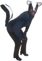 skunk costume