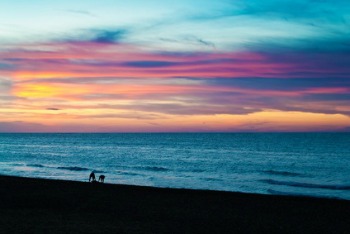 Enjoying an Ocean Sunset with Friends