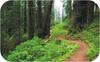 Nature Scavenger Hunt Hiking Trail