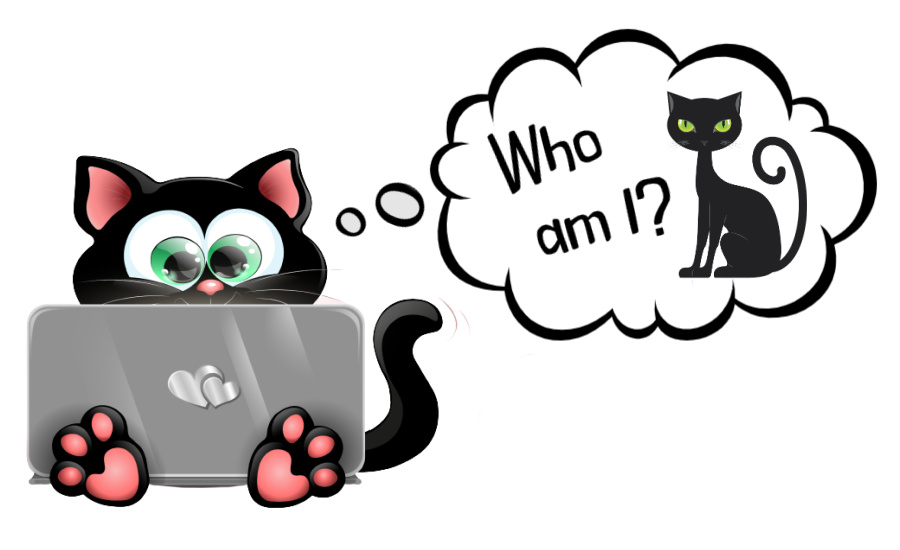 Black Cat Trivia Game | Name the Famous Felines