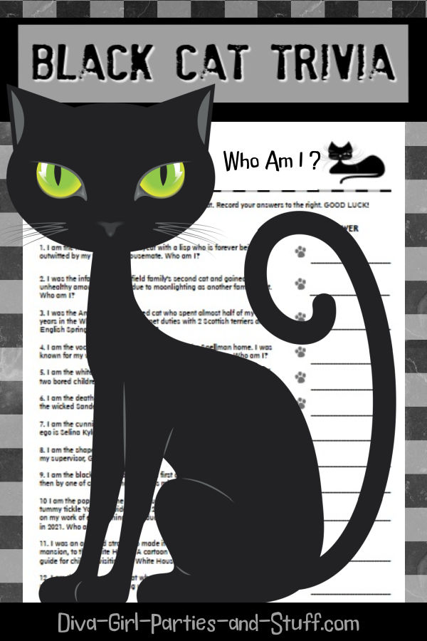 Black Cat Trivia Pin