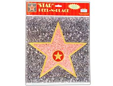 Celebrity Walk of Fame Star