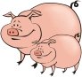 cute chubby pig cartoon