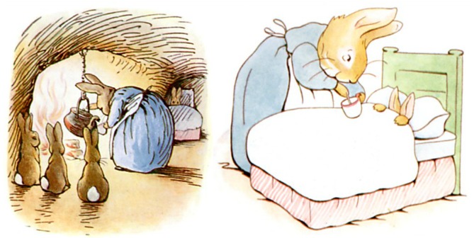 Peter Rabbit Early Bedtime