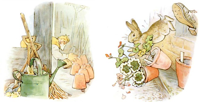 Peter Rabbit Pursued By Mr. McGregor