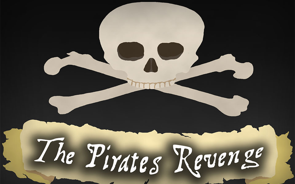 Pirate Party Murder Mystery Game