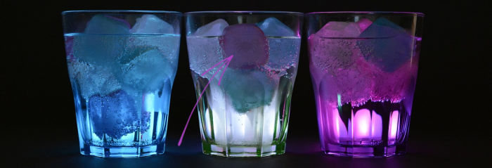 Spider in an Ice Cube Halloween Punch