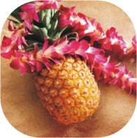 hawaiian luau pineapple